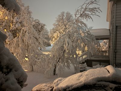 IMG_7681.JPG