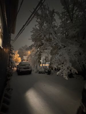 IMG_7686.JPG