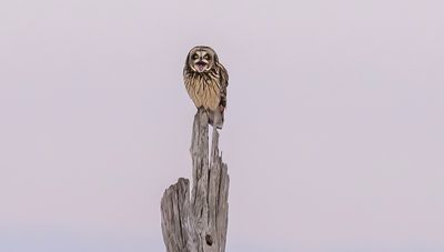 Z9I_0338-Enhanced-RD-Edit-Edit copy.jpg