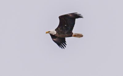 Z9I_9296.JPG