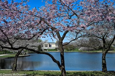 Z63_2266-Edit.JPG