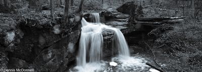 Z63_3236.JPG