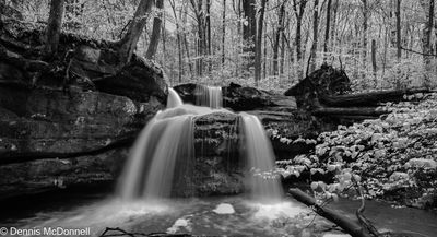 Z63_3249.JPG