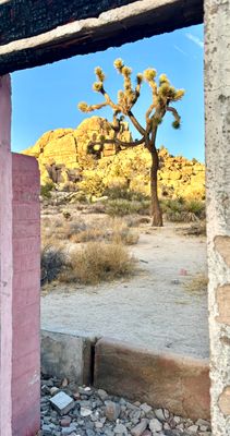 The Pink House