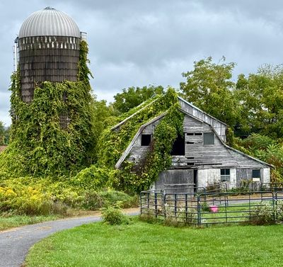 Upstate NY