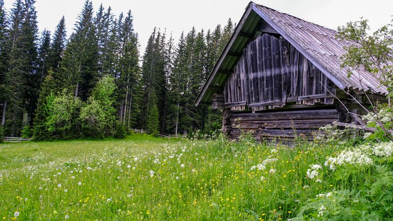 Plateau pokljula