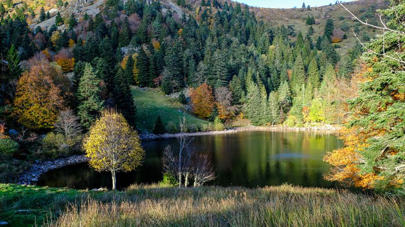 le lac des truites en automne