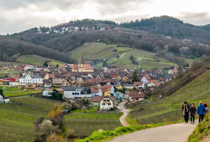 Niedermorschwihr