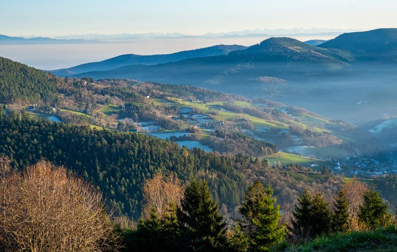 Fréland