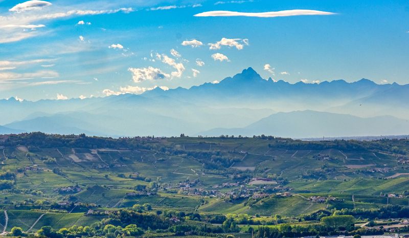 Piedmont 