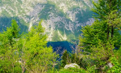 Lake Bohinj seen from above