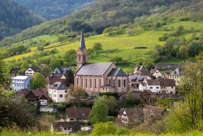 Vosges Mountains - la ligne bleue des vosges.