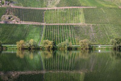 Germany - Rhineland, Palatinate
