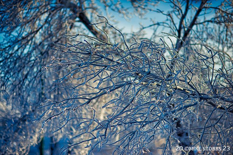 Frosty Morning