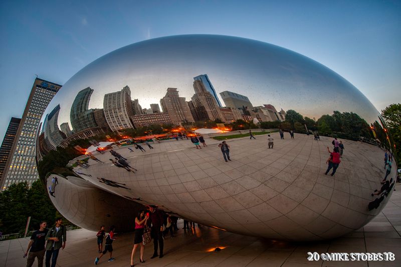 The Bean 