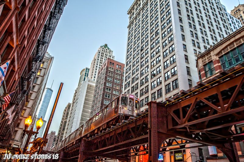 The L