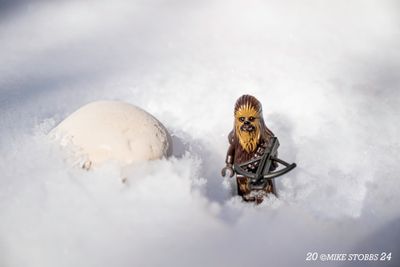 g13/48/623048/3/174394614.4ec29ceb.JPEG
