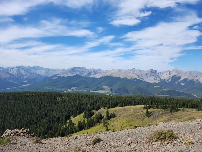 20230902_111735.jpg
