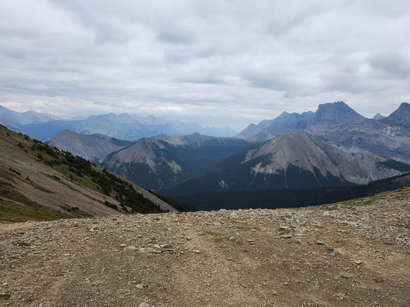 20230824_181610.jpg
