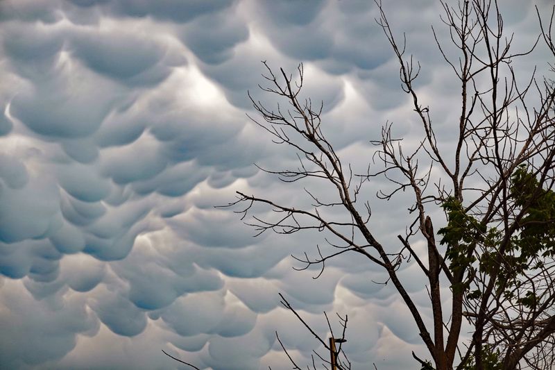 Mammatus clouds