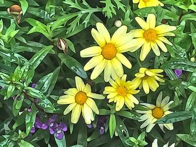 Flowers at Sayen Gardens, Hamilton, NJ