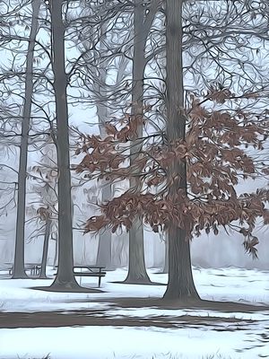 Mercer County Park, West Windsor, NJ