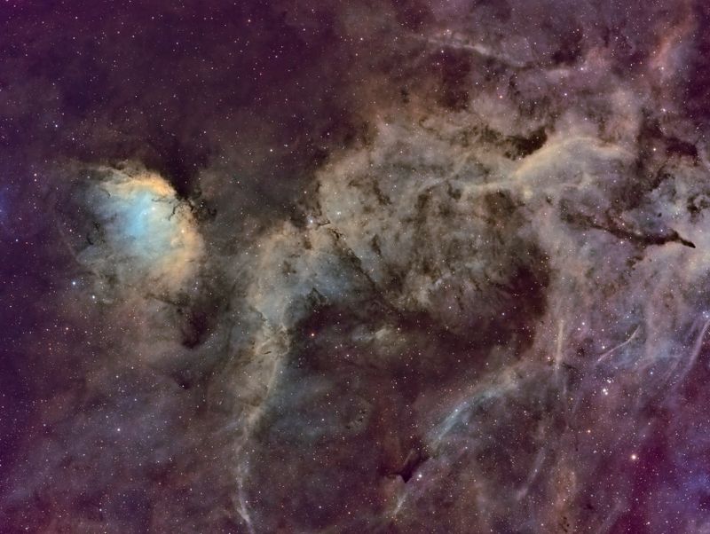 Tulip Nebula