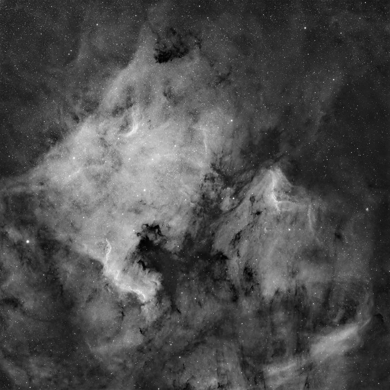 NGC7000 bw.tif