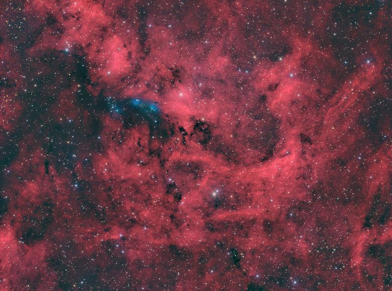 ngc6914