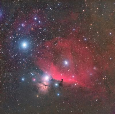 Widefield area of the Horsehead Nebula