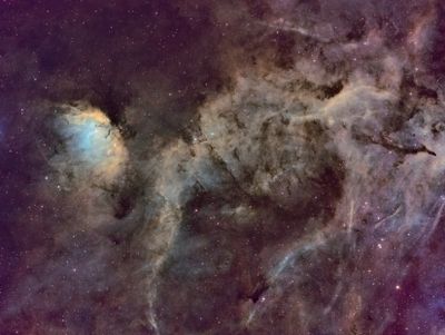 Tulip Nebula
