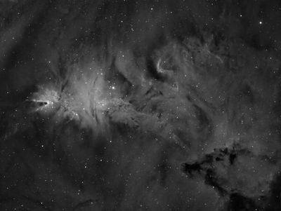 NGC2264.jpg