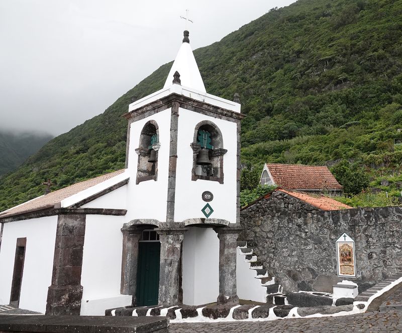 Dracaena draco with church.jpg