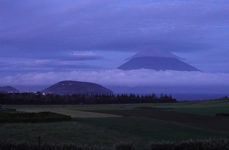 Pico