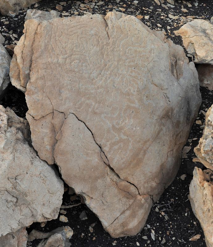 Benahoarite petroglyphs