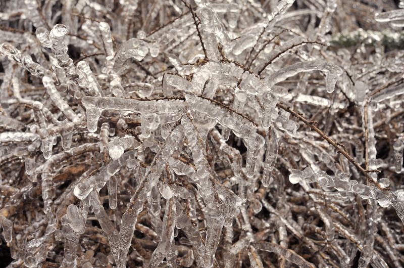 Ice.3.jpg