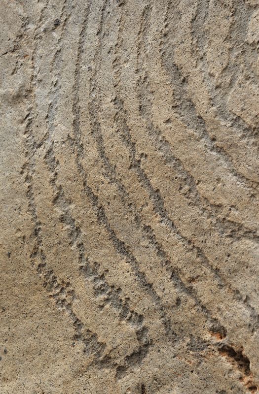 Benahoarite petroglyphs. Close-up.