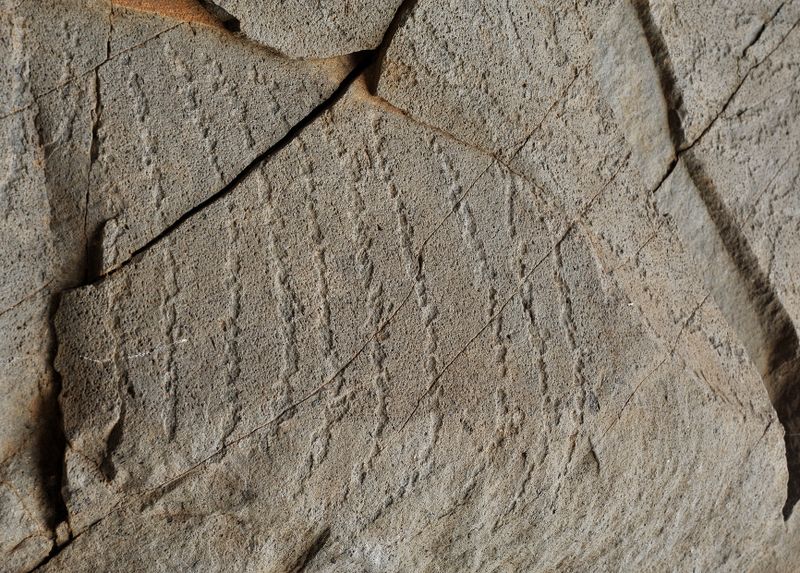 Benahoarite petroglyphs. Close-up.
