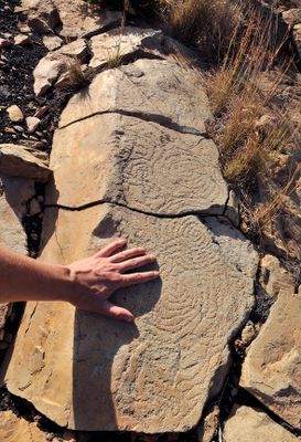 Benahoarite petroglyphs