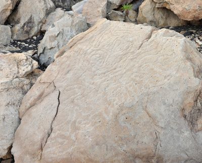Benahoarite petroglyphs