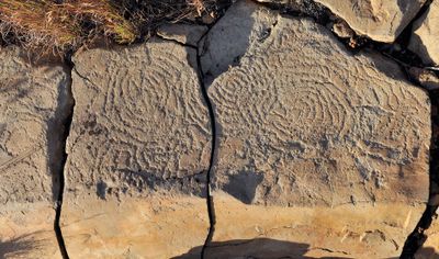 Benahoarite petroglyphs