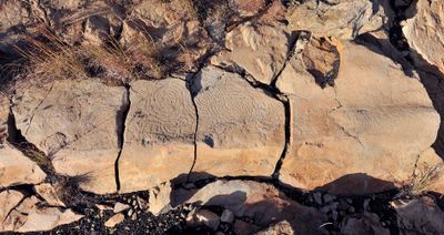 Benahoarite petroglyphs