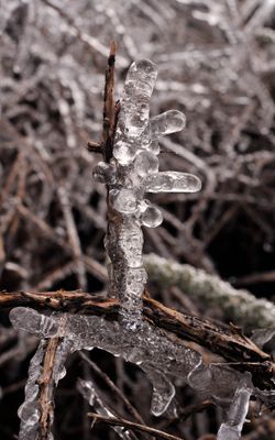 Ice.2.jpg