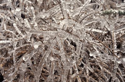 Ice.3.jpg
