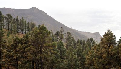 La palma landscapes