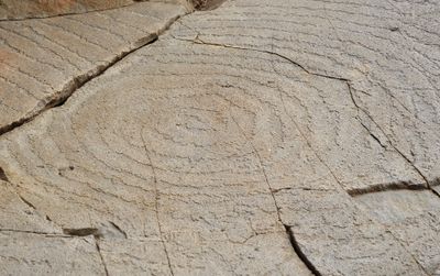 Benahoarite petroglyphs. Close-up.