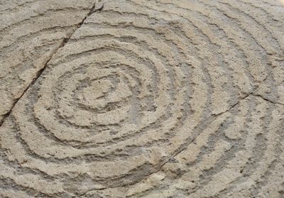 Benahoarite petroglyphs. Close-up.