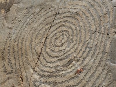 Benahoarite petroglyphs. Close-up.