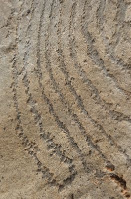 Benahoarite petroglyphs. Close-up.