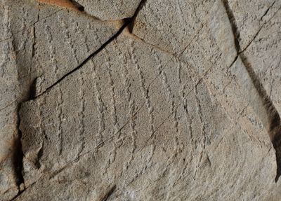 Benahoarite petroglyphs. Close-up.